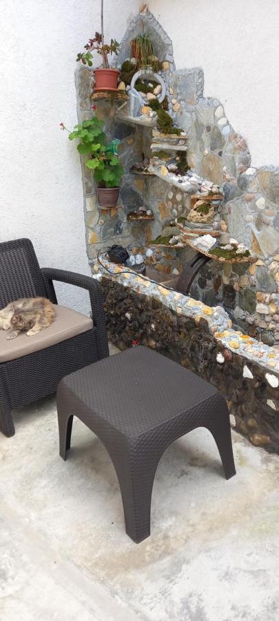Strada Banu Mihalcea Nr. 150 Villa Constanta Bagian luar foto
