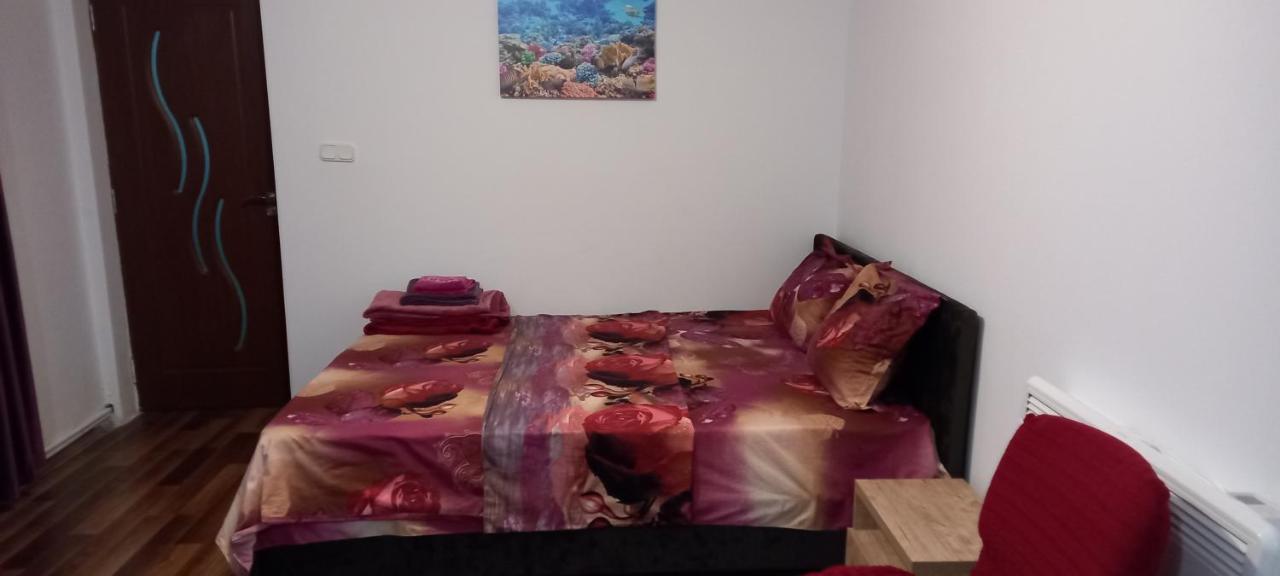 Strada Banu Mihalcea Nr. 150 Villa Constanta Bagian luar foto