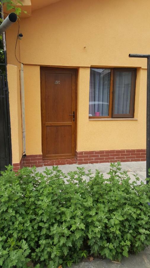 Strada Banu Mihalcea Nr. 150 Villa Constanta Bagian luar foto